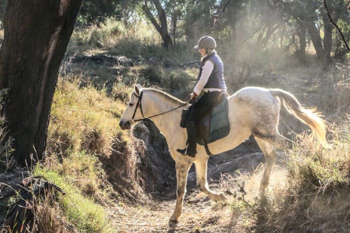 Safaris &agrave; cheval au Zimbabwe