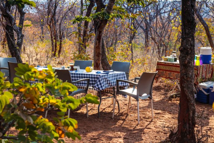 Safaris &agrave; cheval au Zimbabwe
