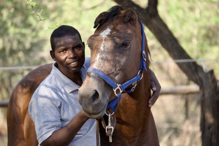 Safaris &agrave; cheval au Zimbabwe