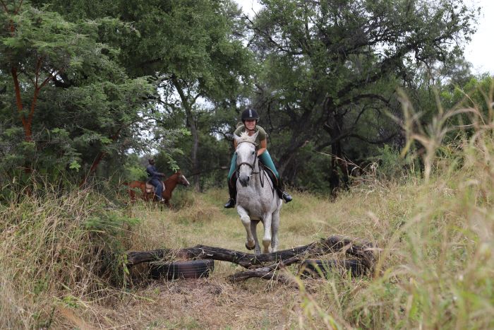 Safaris &agrave; cheval au Zimbabwe