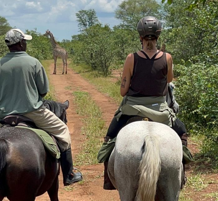 Safaris &agrave; cheval au Zimbabwe
