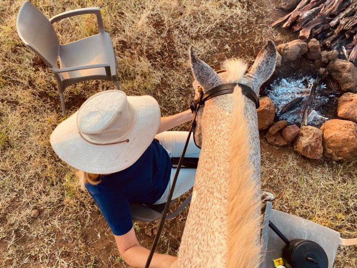 Safaris &agrave; cheval au Zimbabwe