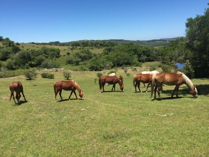 Le chemin Inca pr&egrave;s de Salta