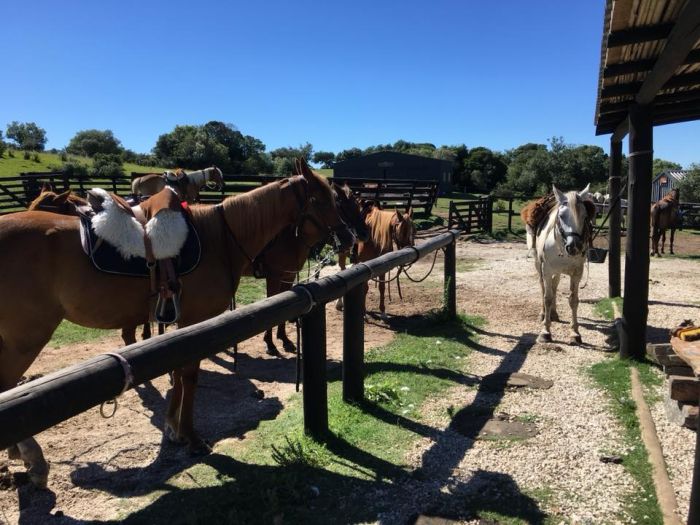 Le chemin Inca pr&egrave;s de Salta