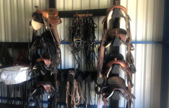 Le chemin Inca pr&egrave;s de Salta