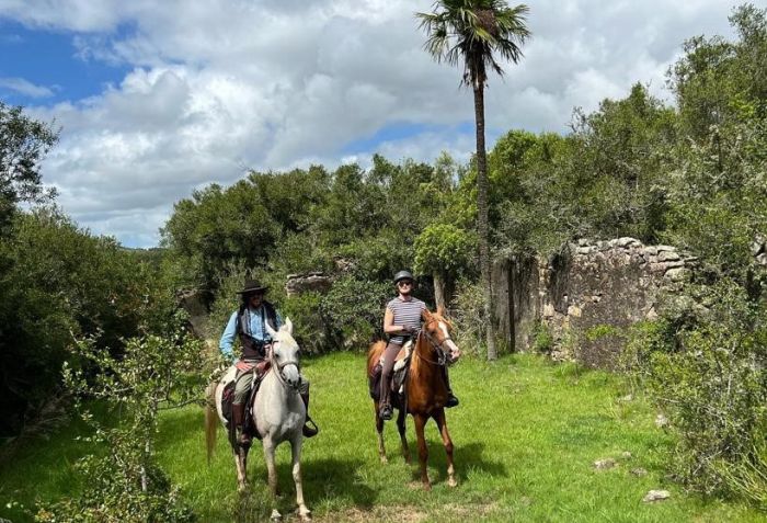 Le chemin Inca pr&egrave;s de Salta