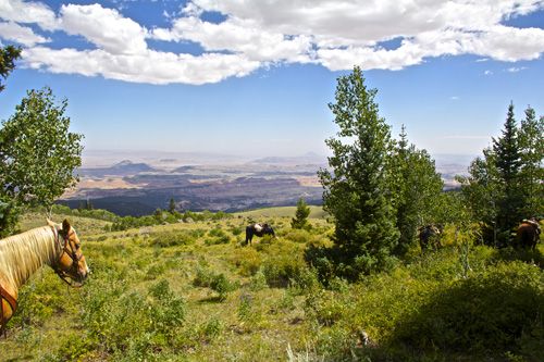 Utah Backcountry Lodge et randonn&eacute;e dans la for&ecirc;t de Dixi