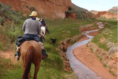Utah Backcountry Lodge et randonn&eacute;e dans la for&ecirc;t de Dixi