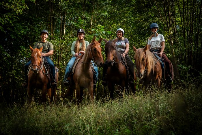 &Eacute;quitation western en Hongrie