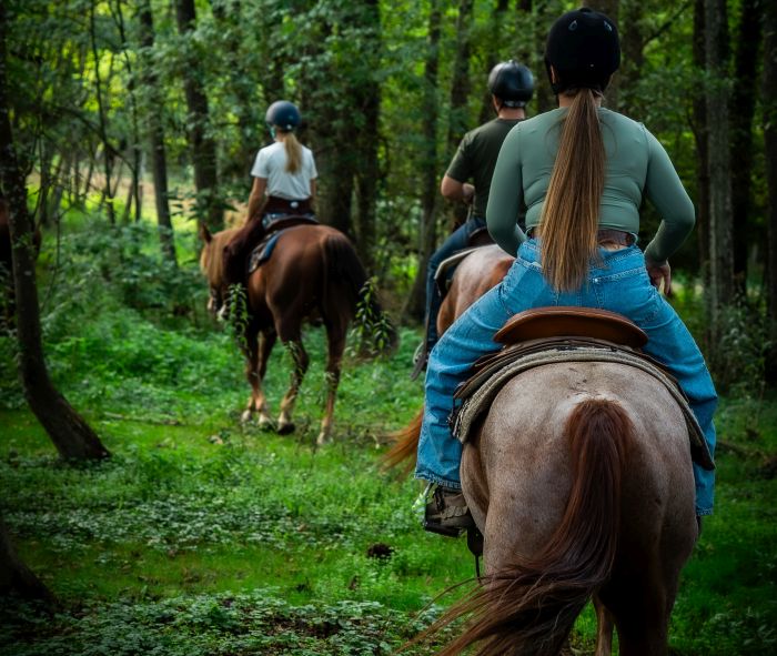 &Eacute;quitation western en Hongrie