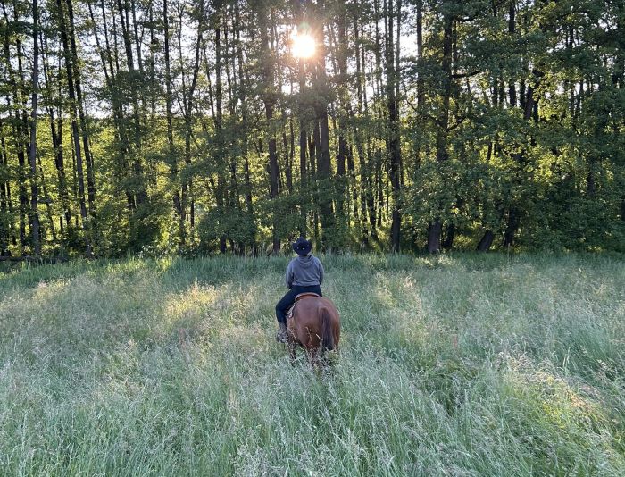 &Eacute;quitation western en Hongrie