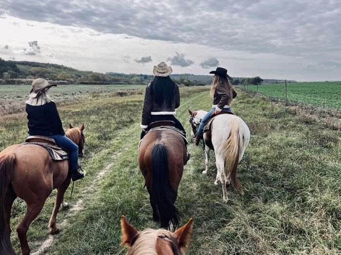 &Eacute;quitation western en Hongrie