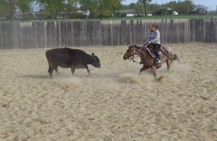 &Eacute;quitation western en Hongrie
