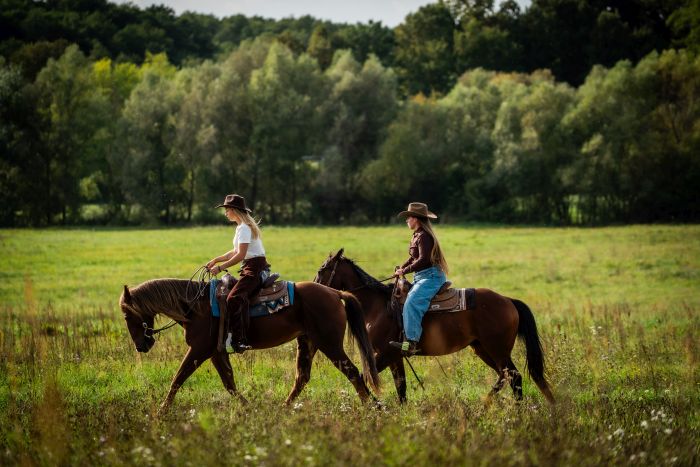 &Eacute;quitation western en Hongrie