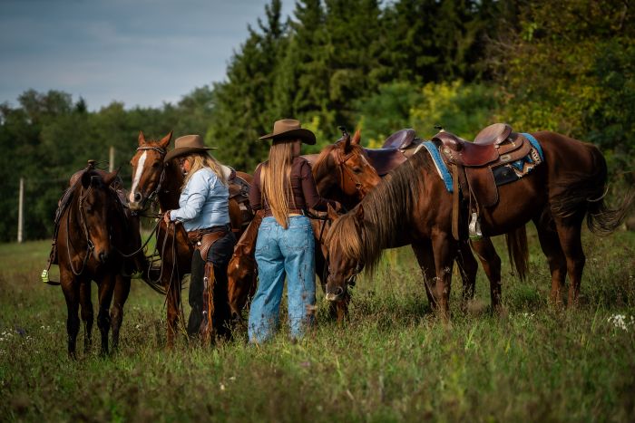 &Eacute;quitation western en Hongrie