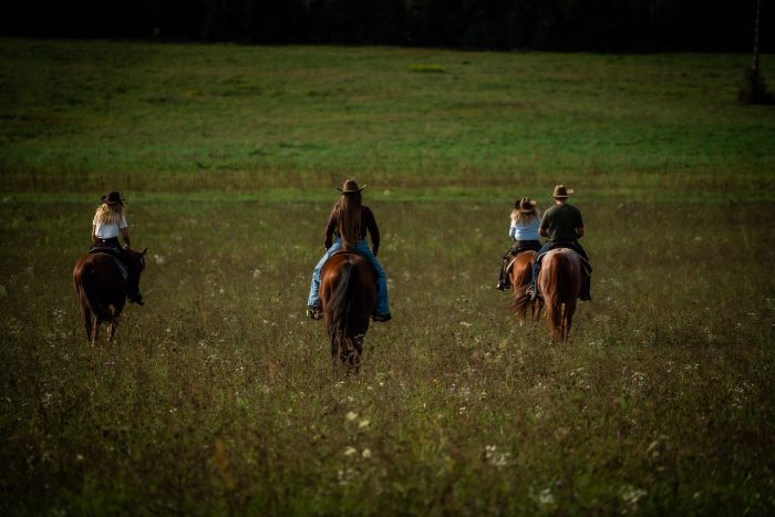 &Eacute;quitation western en Hongrie