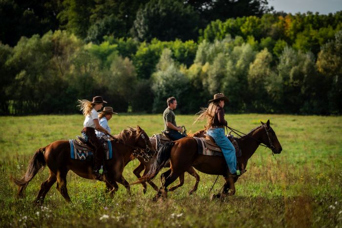 &Eacute;quitation western en Hongrie