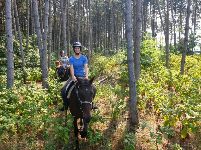Chevauchée en étoile à travers les steppes hongroises