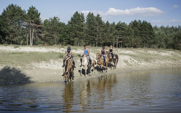 Chevauchée en étoile à travers les steppes hongroises