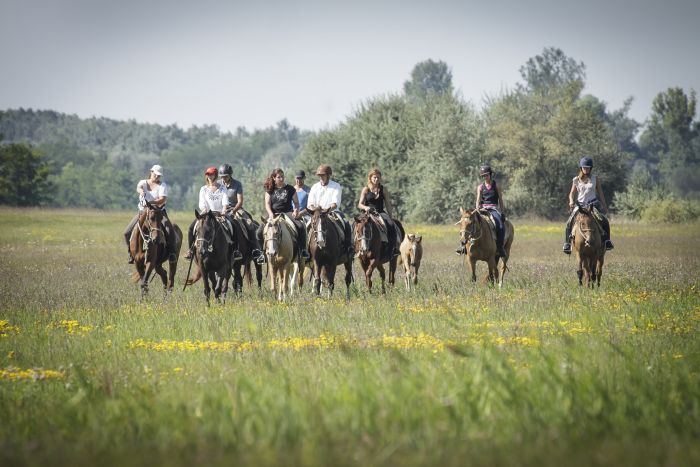 Chevauchée en étoile à travers les steppes hongroises