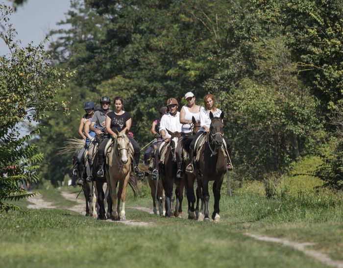 Chevauch&eacute;e en &eacute;toile &agrave; travers les steppes hongroises 7/5 jours)