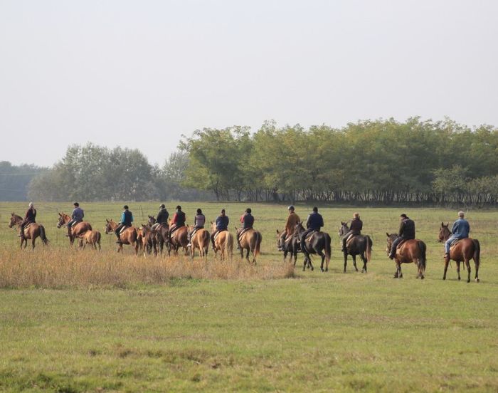Chevauch&eacute;e en &eacute;toile &agrave; travers les steppes hongroises 7/5 jours)