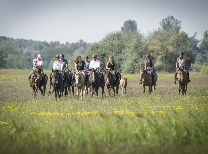 Chevauch&eacute;e en &eacute;toile &agrave; travers les steppes hongroises 7/5 jours)