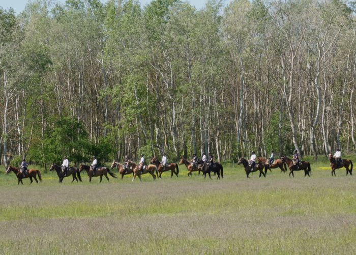 Chevauch&eacute;e en &eacute;toile &agrave; travers les steppes hongroises 7/5 jours)