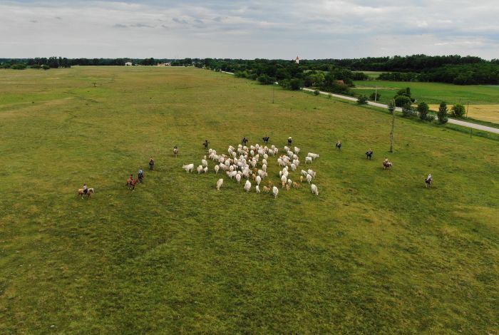 Chevauchée en étoile à travers les steppes hongroises