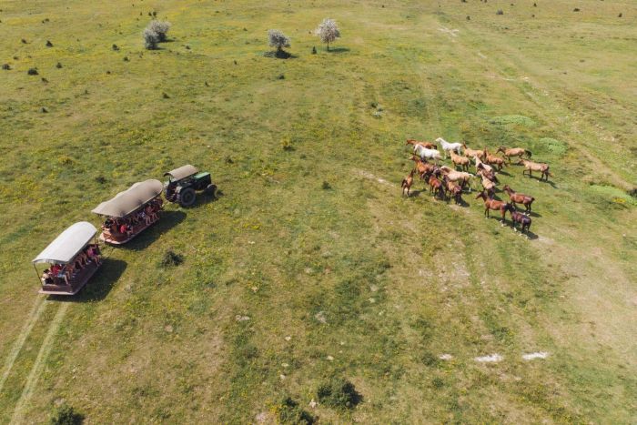 Chevauchée en étoile à travers les steppes hongroises