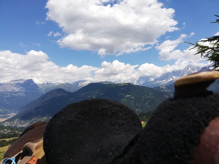 Randonn&eacute;e &agrave; travers les Alpes fran&ccedil;aises (4/5 jours)