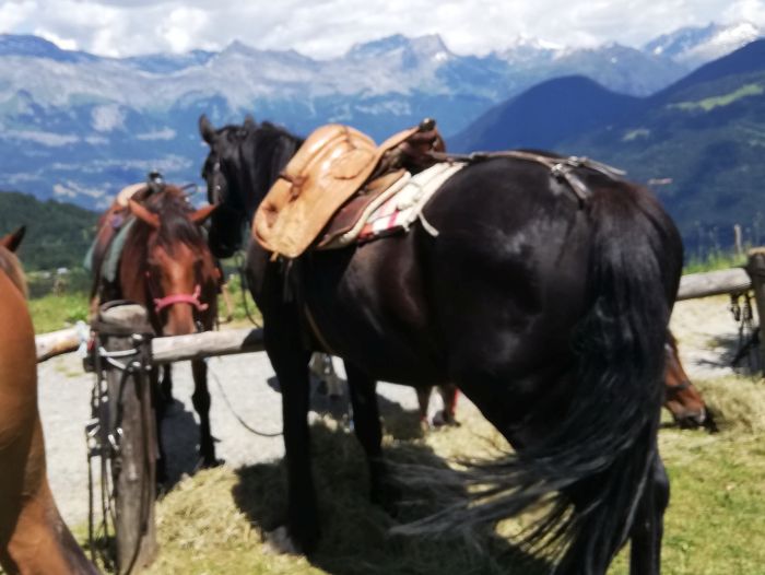 Randonn&eacute;e &agrave; travers les Alpes fran&ccedil;aises (4/5 jours)