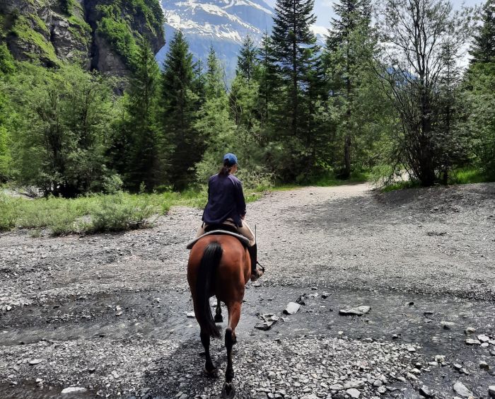 Randonn&eacute;e &agrave; travers les Alpes fran&ccedil;aises (4/5 jours)