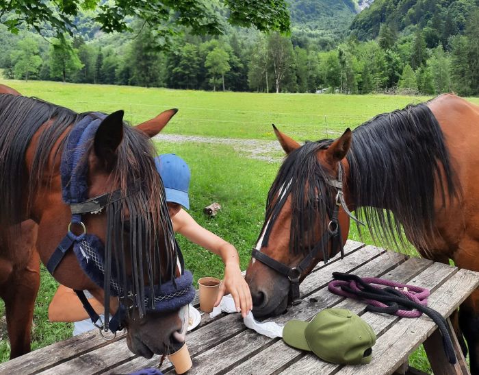 Randonn&eacute;e &agrave; travers les Alpes fran&ccedil;aises (4/5 jours)