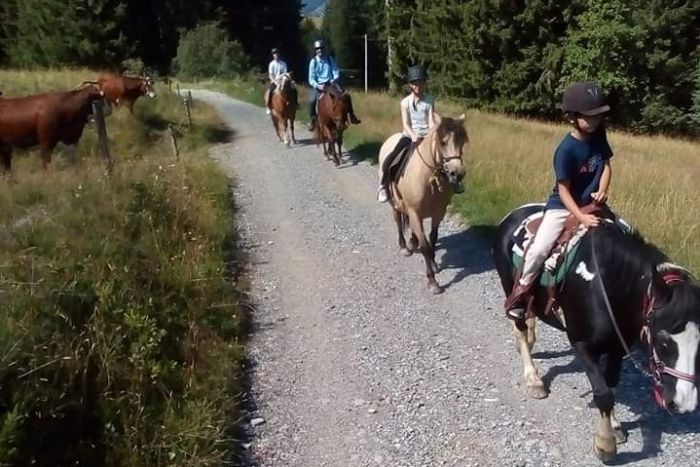 Randonn&eacute;e &agrave; travers les Alpes fran&ccedil;aises (4/5 jours)