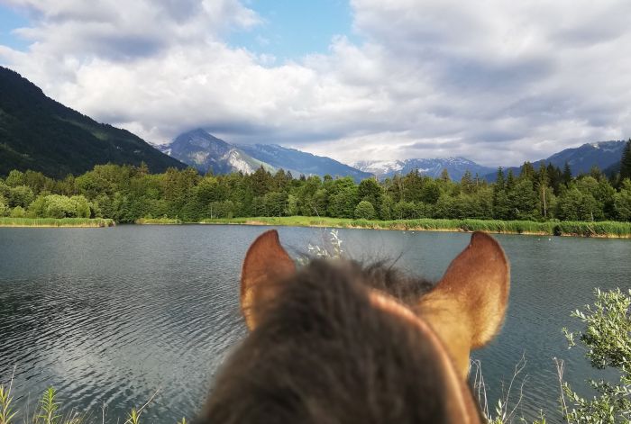 Randonn&eacute;e &agrave; travers les Alpes fran&ccedil;aises (4/5 jours)
