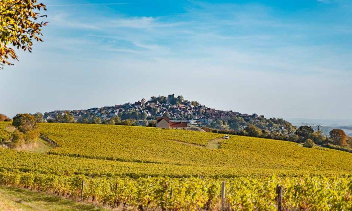 Sancerre - Le vin, mais aussi le Whisky