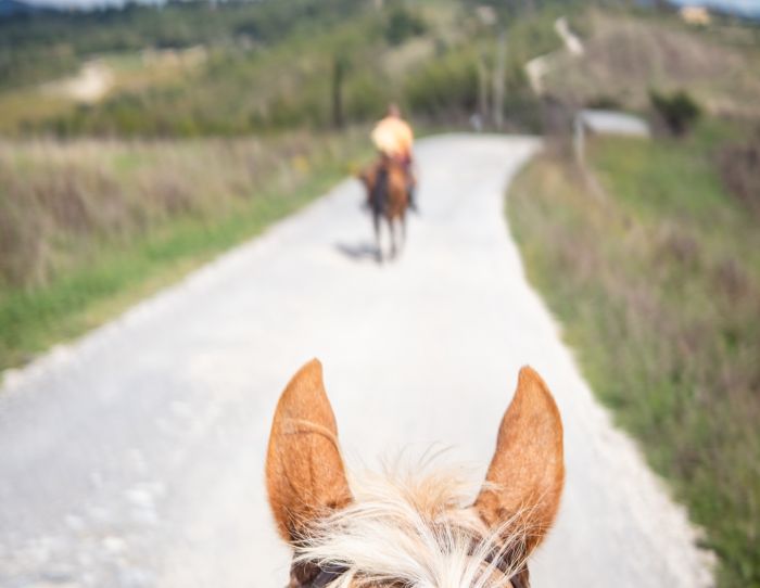 Randonn&eacute;e d'aventure &eacute;trusque