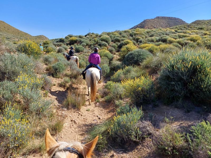 Balades en &eacute;toile &agrave; Cabo de Gata